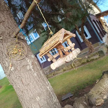 Koitscheblick Appartamento *