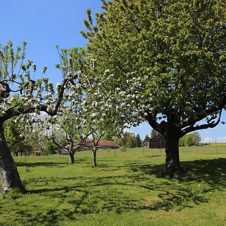 Appartamento Koitscheblick Bertsdorf-Hoernitz