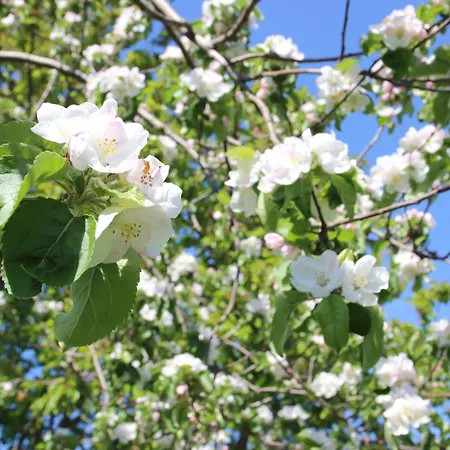 Koitscheblick Bertsdorf-Hoernitz