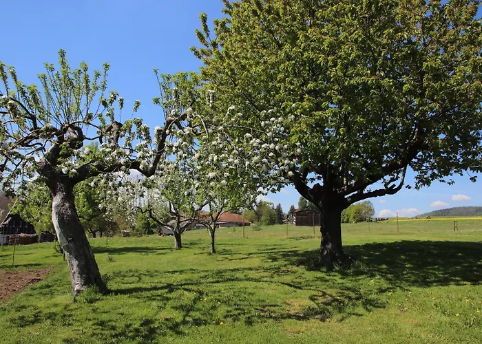 Appartement Koitscheblick Bertsdorf-Hoernitz