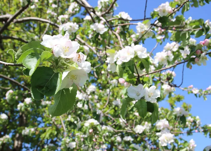 Koitscheblick Bertsdorf-Hoernitz